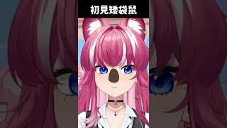 【煌Kirali】初見安安！這裡有矮袋鼠？ #vtuber #vtuber中文 #台V #台灣Vtuber #煌Kirali #煌Kirali精華