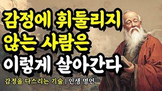 감정을 다스리는 기술 | 채근담, 세네카, 탈무드, 석가모니, 스탕달, 셰익스피어, 도덕경, 명심보감, 쇼펜하우어의 인생 명언 | 감정에 휘둘리지 않는 사람은 이렇게 살아간다