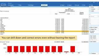 Insightful Financial Reports | TallyPrime Walkthrough Vedant