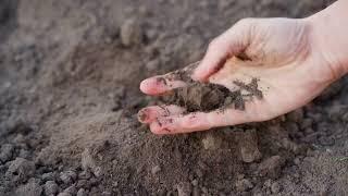 Importance and Composition of Soil