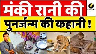 Monkey Rani: कौन है रायबरेली की मंकी रानी? Social Media Star Monkey Uttar Pradesh