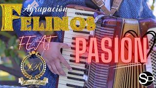 Agrupación Felinos Feat Diana Rojas - Pasión (Video Clip Oficial)