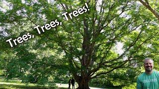 Trees for the American Landscape - The Morton Arboretum - Kim Shearer