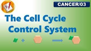 The Cell Cycle Control System (Growth factors, cyclins and cdks) (FL-Cancer/03)