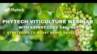 Phytech Viticulture Webinar: Strategies to Boost Berry Development