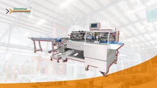 SZ-601W Flow Packing Machine - Soontrue Packing Machinery since 1993