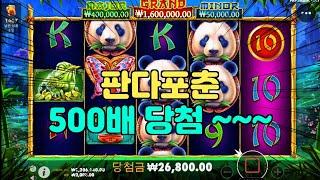 슬롯마바리  판다포춘 500배 당첨~~ PANDAS FORTUNE