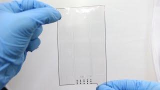 Industrial Grade, Bending-Insensitive, Transparent Nanoforce Touch Sensor