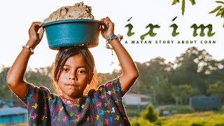 Ixim: A Mayan Story About Corn | Short Film