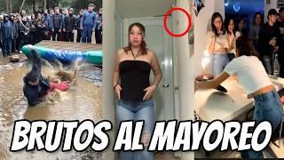 Brutos al mayoreo