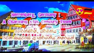 Germany's Herrenberg is like a paradise | පාරාදීසයක් බඳු ජර්මනියේ Herrenberg නගරය | 