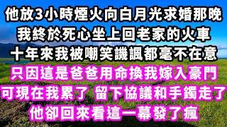 他放3小時煙火向白月光求婚那晚，我終於死心坐上回老家的火車，十年來我被嘲笑譏諷都毫不在意，只因這是爸爸用命換我嫁入豪門，可現在我累了，留下協議和手鐲走了，他卻回來看這一幕發了瘋#追妻火葬場#大女主