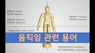 움직임 관련 용어