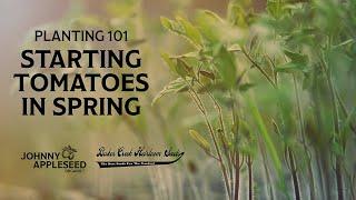 Planting 101 | How To Plant Tomatoes