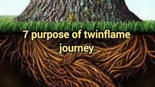 “7 PURPOSE OF TWINFLAME JOURNEY” #ascension #twinflame