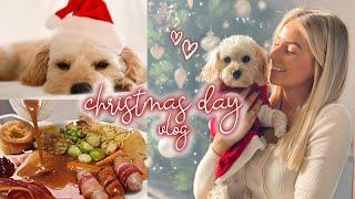 puppies & proposals...  christmas day vlog!