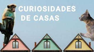 10 DATOS CURIOSOS DE LAS CASA