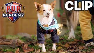 The New Prank Master | Pup Academy Clip