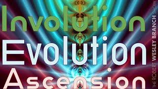 Involution. Evolution. Ascension. The Spiritual-Physical Life Cycle.