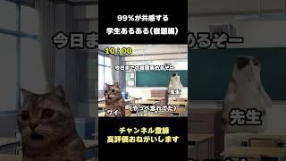 99%が共感する学生あるある【猫ミーム/宿題編】#shorts #猫ミーム