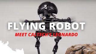 This Robot From Future Can Fly   #shorts