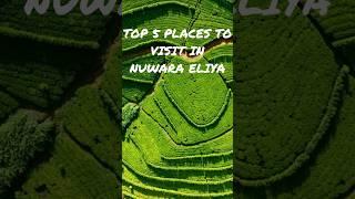 Top 5 Places in Nuwara Eliya