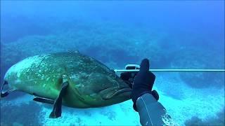 Deep Spearfishing Cyprus. George Vasileiou - Asgatas. Hunting Groupers N.9