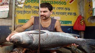 Katla fish cutting |Katla fish cutting skills|Katla fish cutting Kolkata|California fish grill|