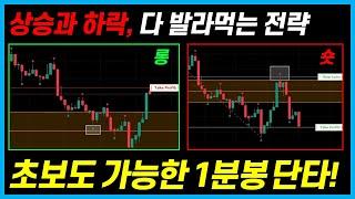 상승장, 하락장, 횡보장 모두 수익 가능한 1분봉 단타! 초보도 지금 바로 적용 가능! (20분만에 롱,숏 모두 수익)