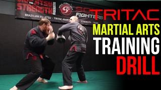 TRITAC Punch Self-Defense Training Drill