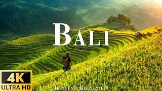 BALI [60FPS] - 4K Scenic Relaxation Film •Peaceful Relaxing Music •Nature 4K Video Ultra HD