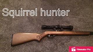 The squirrel rifle review!!