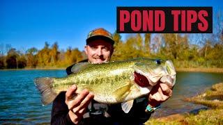 Winter pond Fishing Tips (CRAZY)