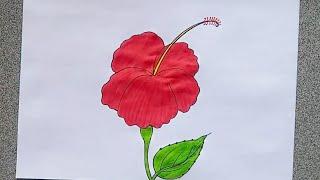 How to draw a hibiscus flower easy step by step | Easy and beautiful hibiscus flower drawing