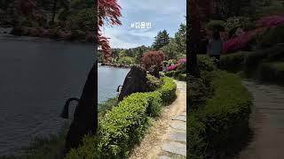 #김용빈 #너와나 #사랑빈 #k트롯 #shorts #하늘물빛정원 #금산추부