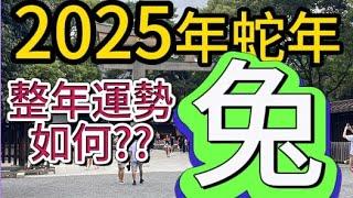 【古柏論命 - 張古柏】2025年乙巳年12生肖整年運勢透析 – 兔