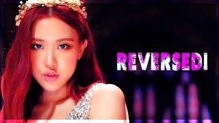 BLACKPINK - DDU DU DU DU BUT REVERSED!