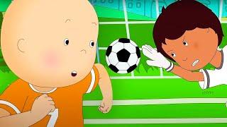 Le football ÉCHOUE, COMPÉTENCES et OBJECTIFS | Caillou en Français