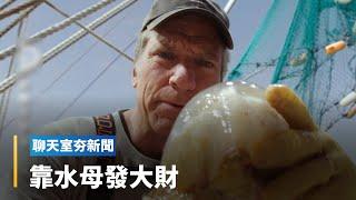 海中生物水母變盤中飧海蜇皮　他靠加工廠實現美國夢｜全球聊天室 #鏡新聞