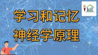 学习和记忆的神经学原理