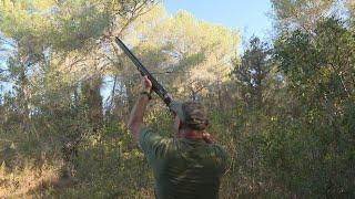 Primer dia d'aixecament de la veda de tudons a Eivissa