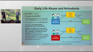 Relationship Between Stress and Anhedonia