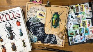 Nature Journal with me | quick flip through 