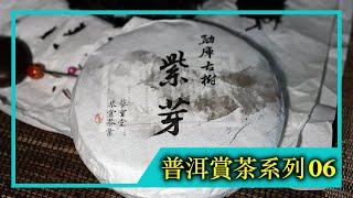 《普洱賞茶系列》EP.06｜2020年紫芽古樹純料（4K UHD）【藝寶堂台灣張哥】