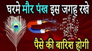 घरमे 3 मौर पंख इस जगह रखेदे, चमत्कार होगा | Vastu Tips Hindi  | Shastriya Hindi