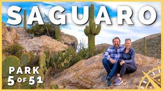 ️ Saguaro National Park: Over 2 Million Cactus! | 51 Parks with the Newstates