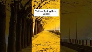 Yellow Spring Road Hirokawa, Japan  #travel #tips #foryou #shorts