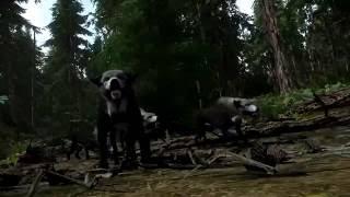 Miscreated - Official Game Trailer - Survival Game