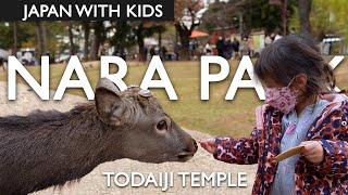 Visiting Japan's Nara Park Deer and Todaiji Temple