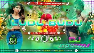 Ludu Budu !! Purulia new old mix !! 2024 !! Edm mix !! VIBRATION mix !! Dj Jit pratappur